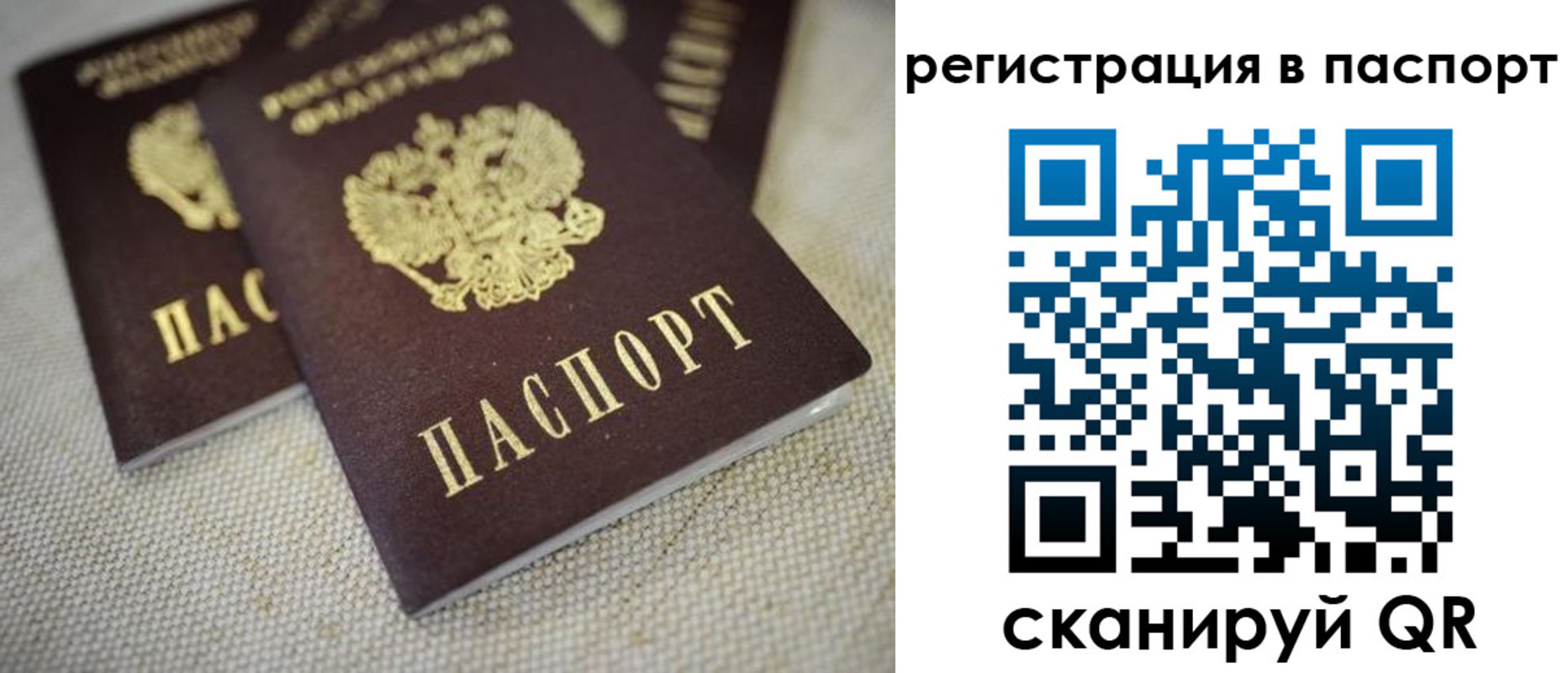 прописка гарантия в Нытве